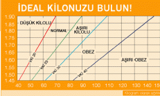 Normal ve İdeal Kilo Çizelgesi