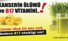 Kanserin En Büyük Nedeni B17 Vitamini Eksikliğidir Peki B17 Vitamini Hangi Besinlerde Var