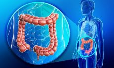 Zencefil Prostat ve Kolon Kanserini Yok Ediyor! Kemoterapiden Daha İyi ve Sağlıklı